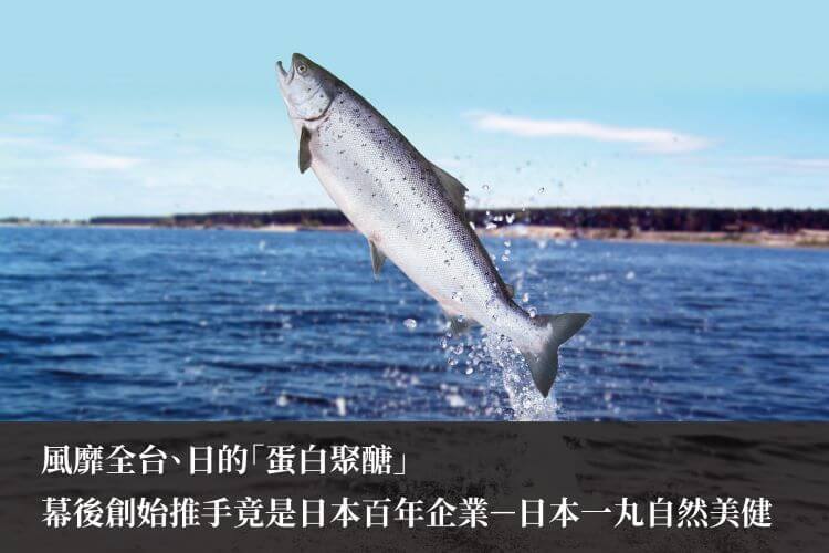 風靡全台、日的「蛋白聚醣」，幕後創始推手是日本百年企業－日本一丸自然美健