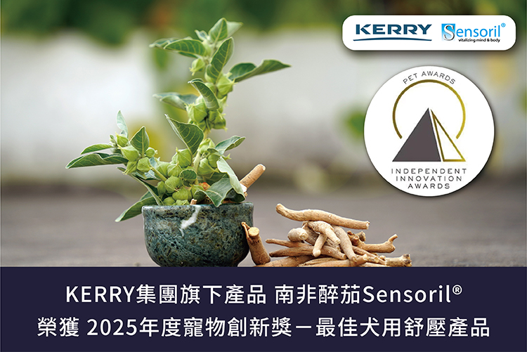 最新消息