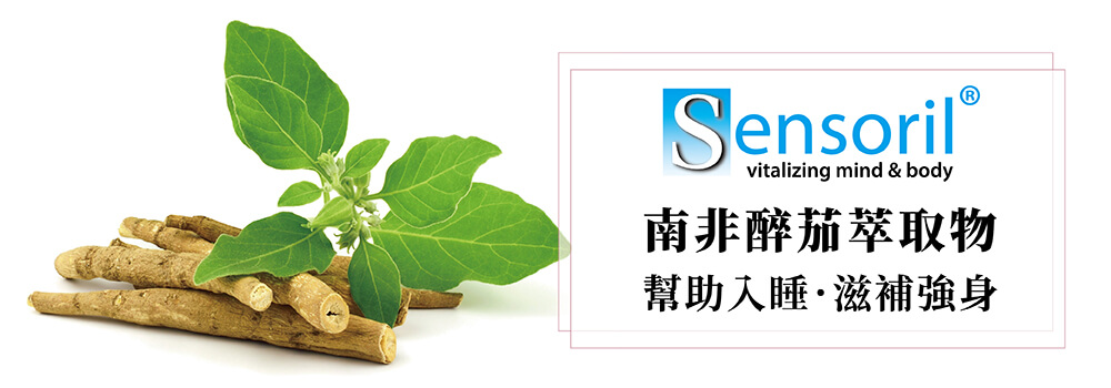 南非醉茄萃取物Sensoril 幫助入睡 滋補強身