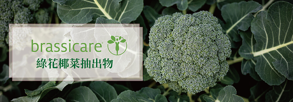 brassicare 綠花椰菜抽出物