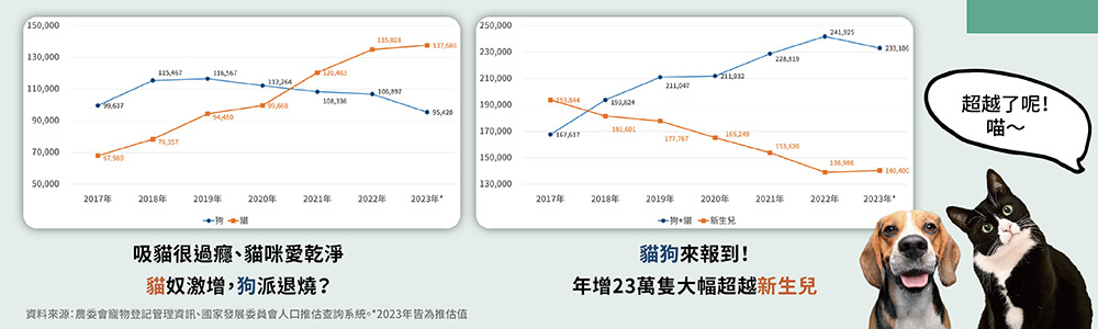 毛小孩數量超越新生兒，喵星人認養登記申報數量超越汪星人！