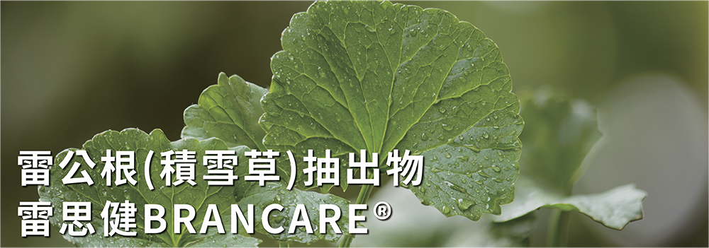 Polycan黑酵母發酵物 定量葡聚醣 輕鬆存肌金 雷公根(積雪草)抽出物 雷思健BRANCARE®