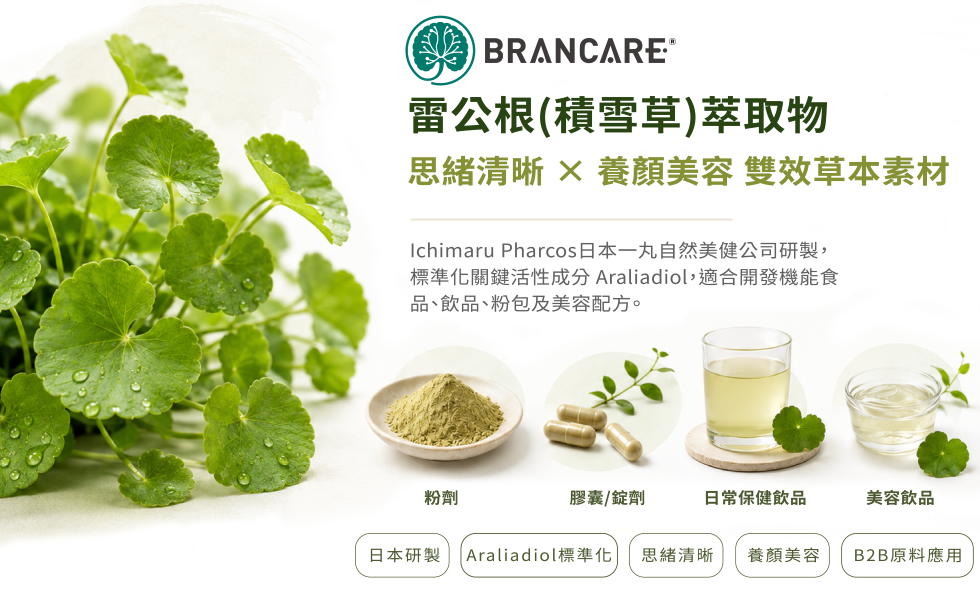 Brancare®雷公根(積雪草)萃取物︱思緒清晰 美顏養容雙效原料．仕琦代理．日本一丸研究